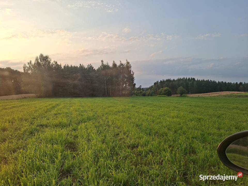 Sprzedam działkę z lasem o powierzchni 176h Sprzedaż Radziki Duże