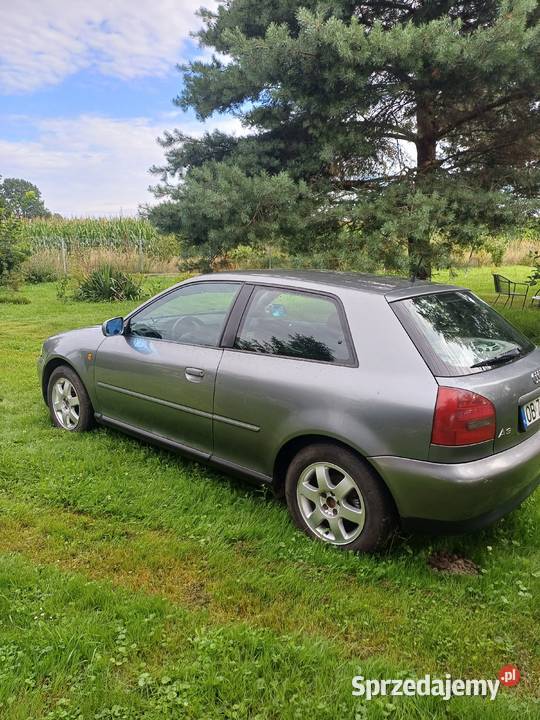 Audi A3 Tdi A3 Brzeg sprzedam