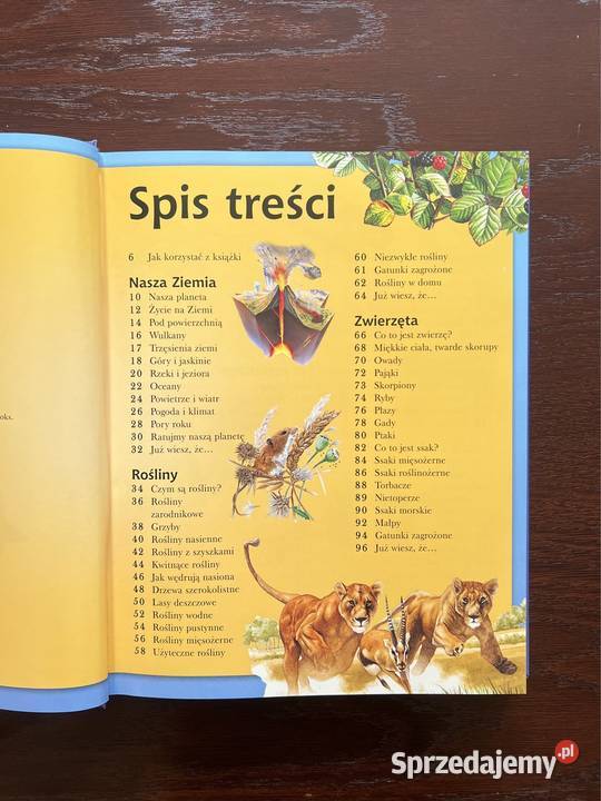 Wszystko co wiedzieć encyklopedia dzieci Częstochowa sprzedam