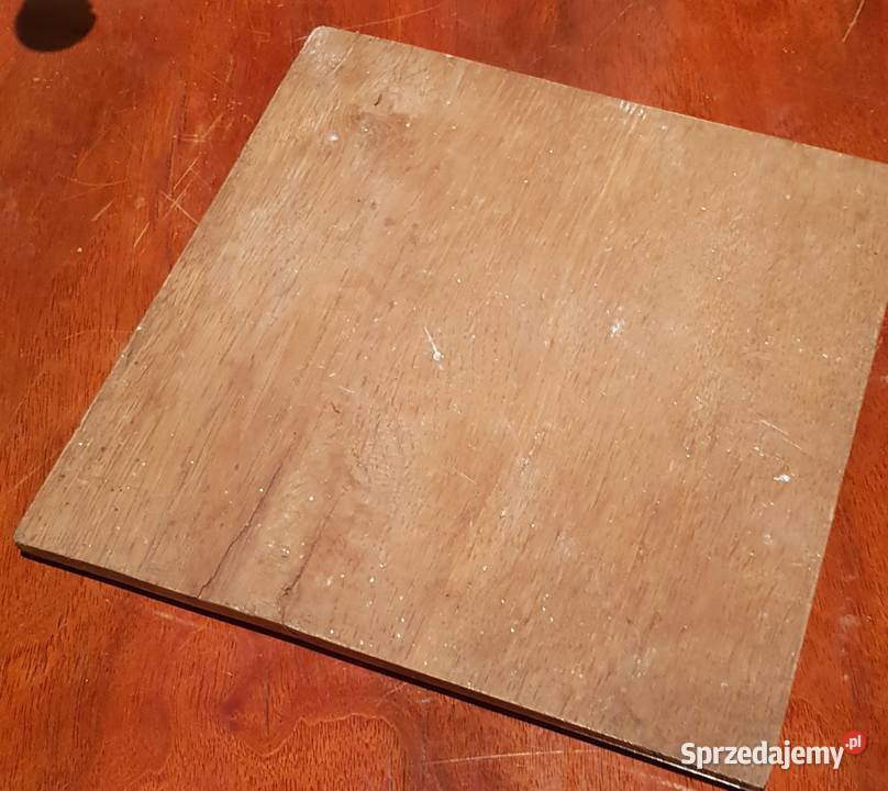 Portret olej na desce Art Deco Tadeusz Styka