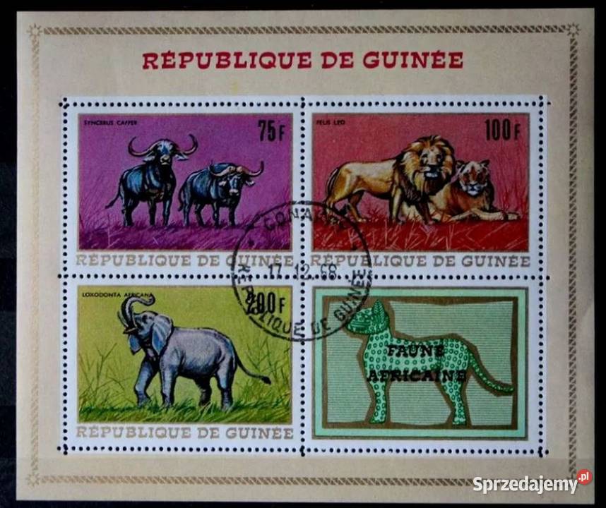 Gwinea arkusik Oborniki