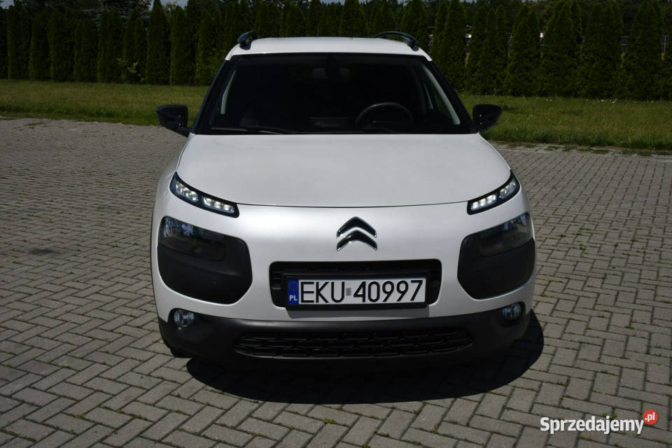 Citroen C4 Cactus 16hdi DUDKI11 przyciemniane szyby Kutno