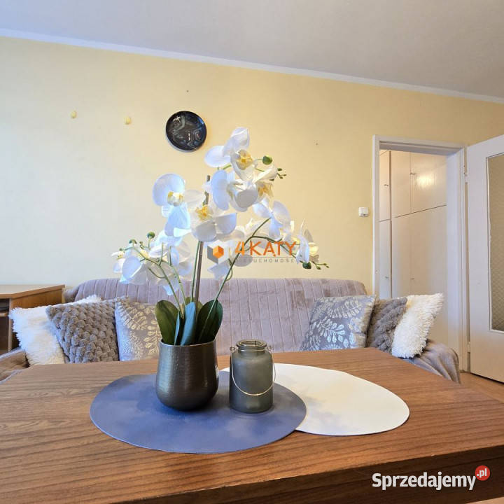 Mieszkanie 412m2 Zielona Góra Rydza Śmigłego 7888zł/m2 Sprzedaż lubuskie