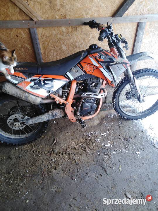 Diabolini 250 agb 39 Będzienica