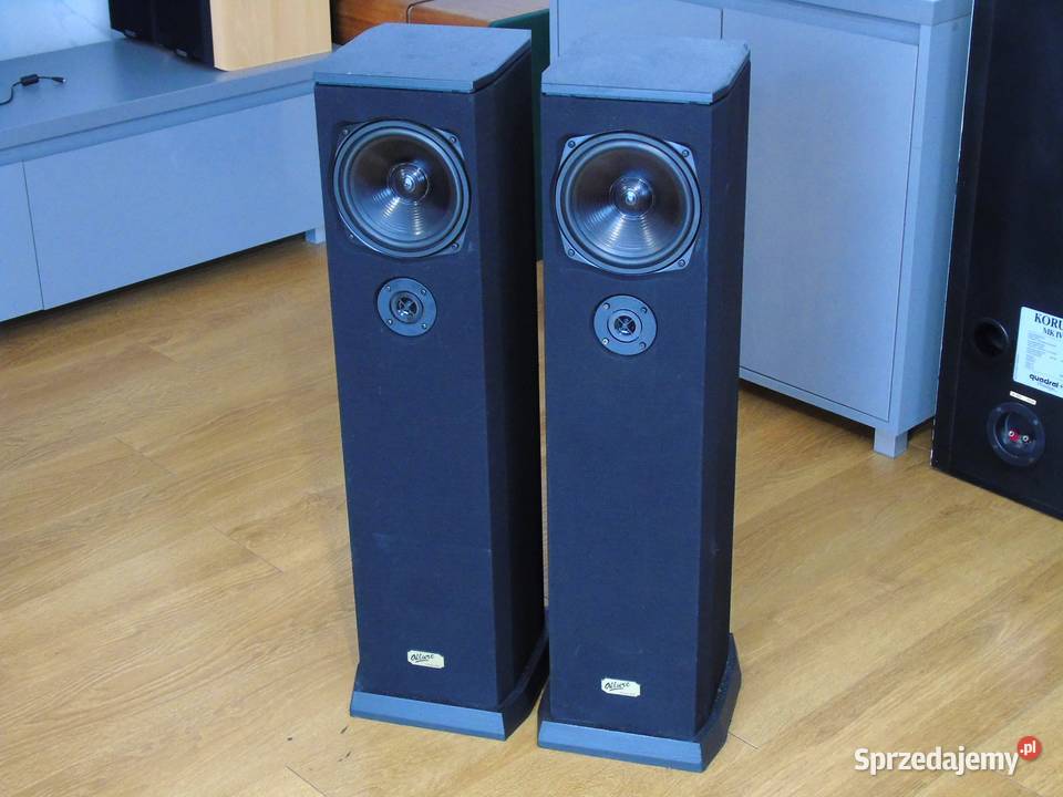 Duńskie kolumny audio świetne stereo DOSTAWA podkarpackie Jasło