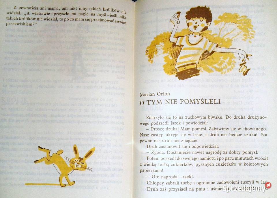 Czy pan nie widział rudego chłopca Magdalena Rok wydania 1987 lubelskie