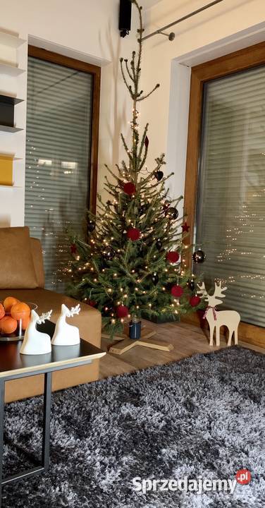 Stojak na choinkę z kielichem na wodę Poznań