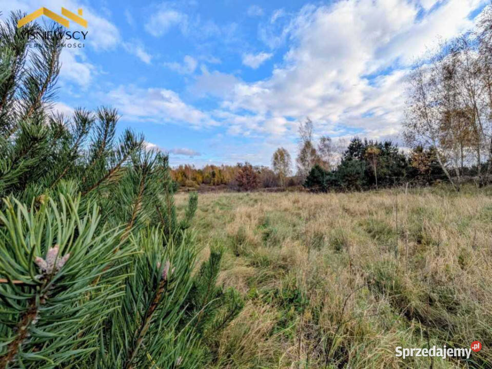 Na sprzedaż działki bud Sztumskie Pole 1146m2