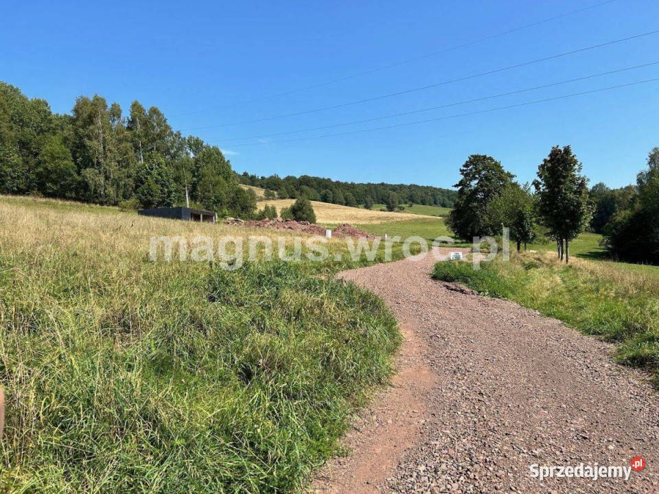 Widokowa działka budowlana na lekkim stoku 0m Głuszyca