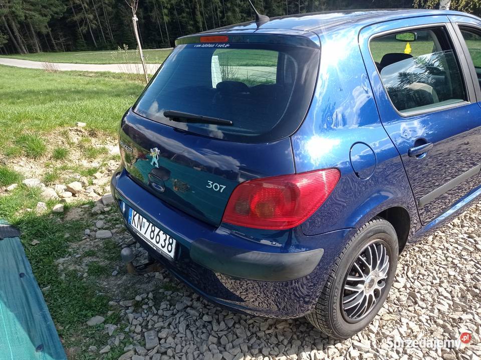 Peugeot 307 16 benzyna 169 Przebiegu klimatyzacja Grybów sprzedam