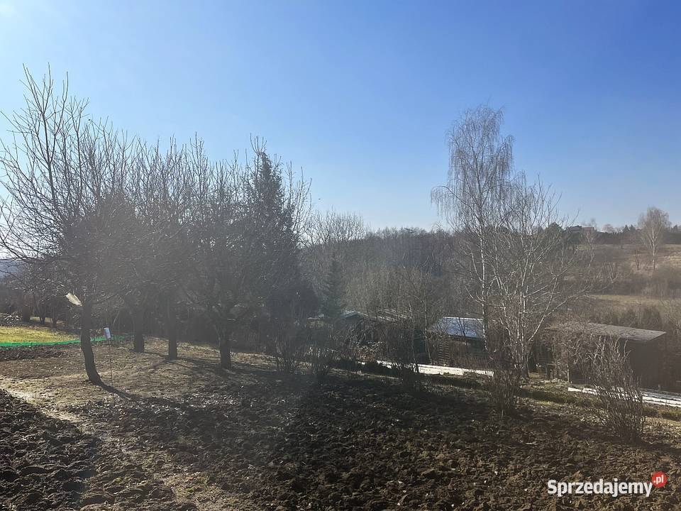 Działka z widokiem ROD Ogródek 300m2 Bratek Grunty i działki Dąbrowica