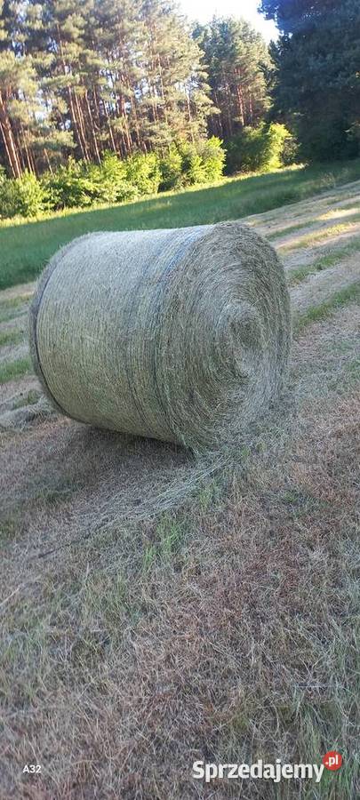 Siano bele 140x120 śląskie sprzedam