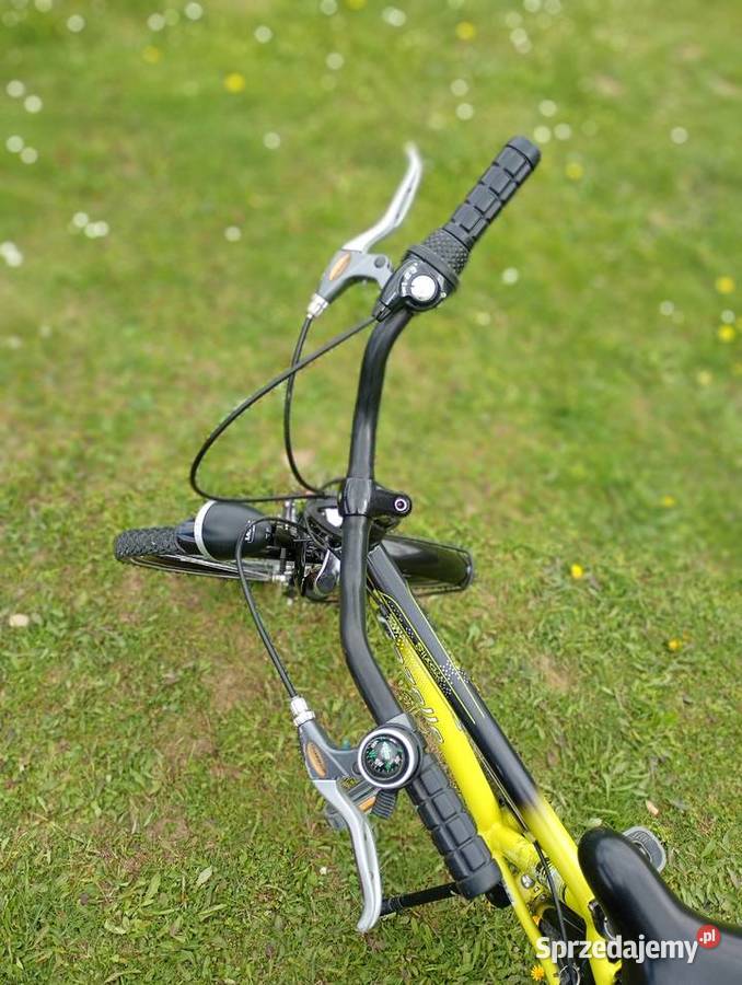 Rower gazelle