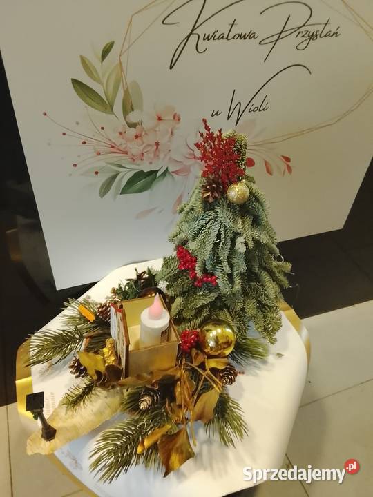 Stroiki Bożonarodzeniowe Warszawa