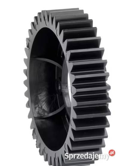 Zębatka SAU10686 małopolskie Kamionna