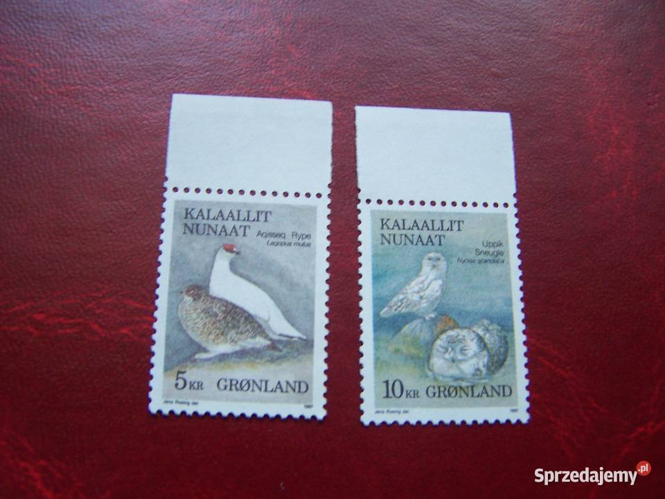 Grenlandia 1987 MNH Fauna Ptaki Tychy