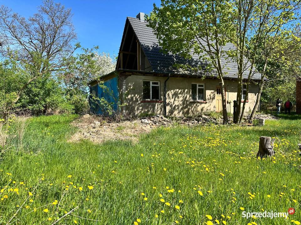 Sprzedam wolnostojący dom Płońsko gmina