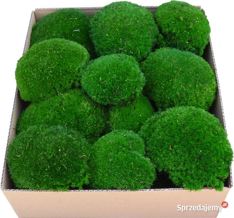 Mech Poduszkowy PREMIUM Medium Green 600g śląskie Czarków