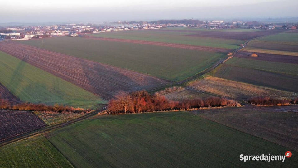 Działka inwestycyjna Przemysł 29ha utwardzona Borek Wielkopolski