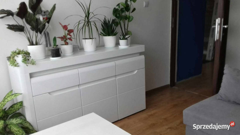 SPRZEDAM BEZ POŚREDNIKÓW Mieszkanie 4415m 2 śląskie Sosnowiec sprzedam