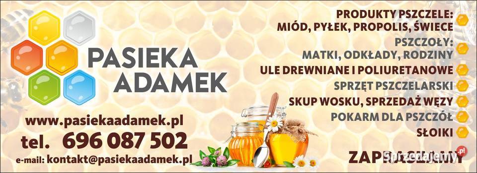 MATKI PSZCZELE UNASIENNIONE KRAINKA małopolskie sprzedam