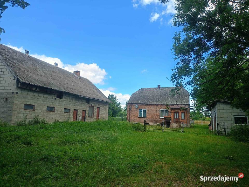 Sprzedam dom z zabudowaniami i dużą działką 3500m2