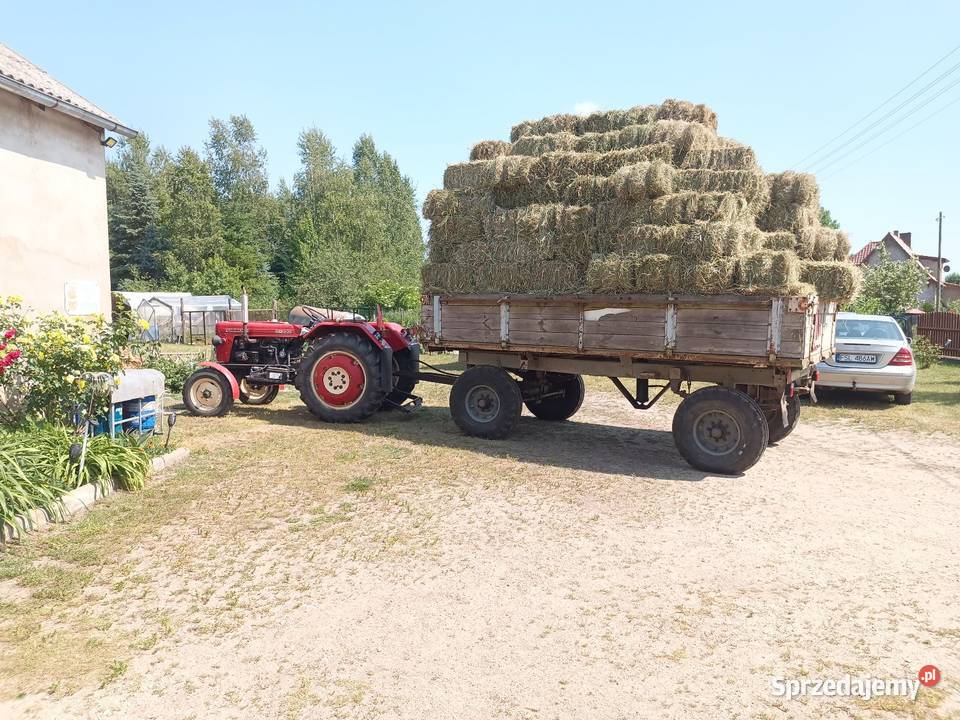 Siano w kostkach snopkach 2025 pachnące Trawy, słoma lubuskie Tarnawa Rzepińska