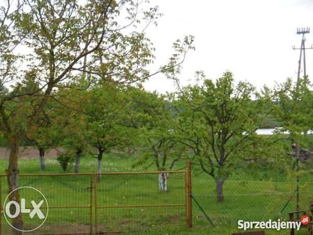 Sprzedam dom Dorohusk Osada