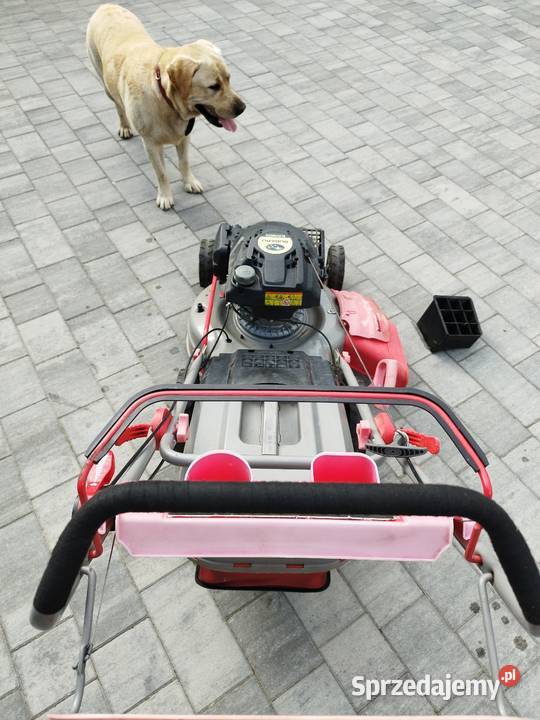 Kosiarka spalinowa Subaru Kosiarki spalinowe Opoczno