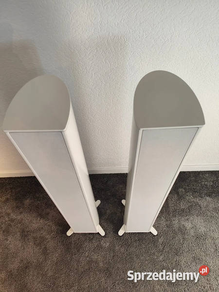 Bezprzewodowe głośniki Piega Premium 501 w Różan