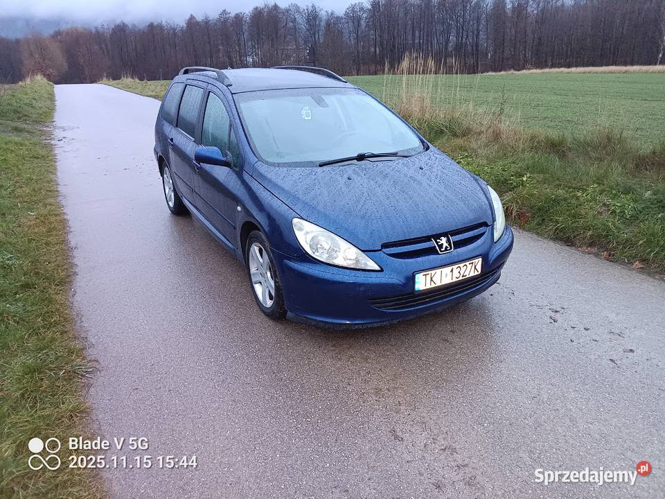 Peugeot 307 20 BG 2002r nieuszkodzony