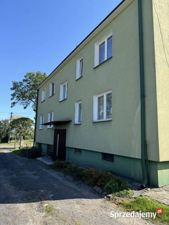 Sprzedam mieszkanie na parterze bezczynszowe z Sprzedaż Żmudź