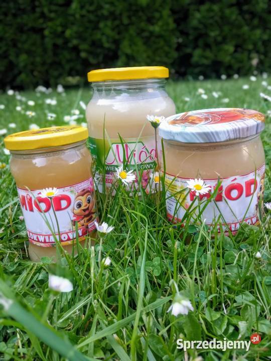 Miód wielokwiatowy z rejonów Lubelskich Miody i produkty pszczele Mysłowice