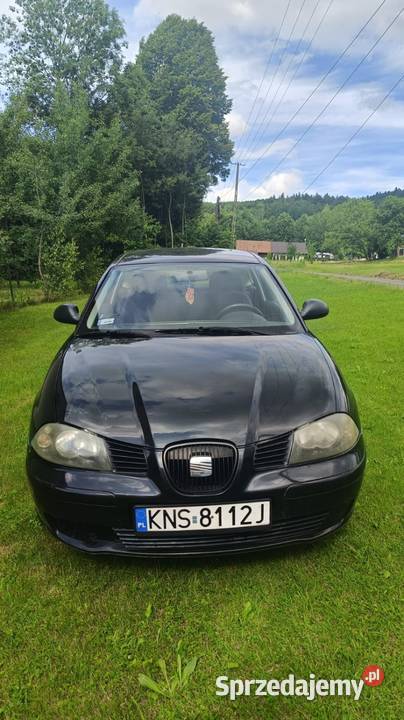 SEAT IBIZA