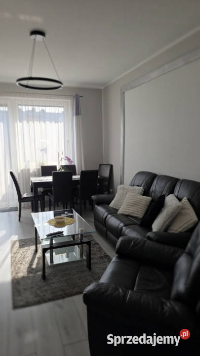 Dom dwulokalowy z dwoma lokalami usługowymi 230m2 Poznań sprzedam