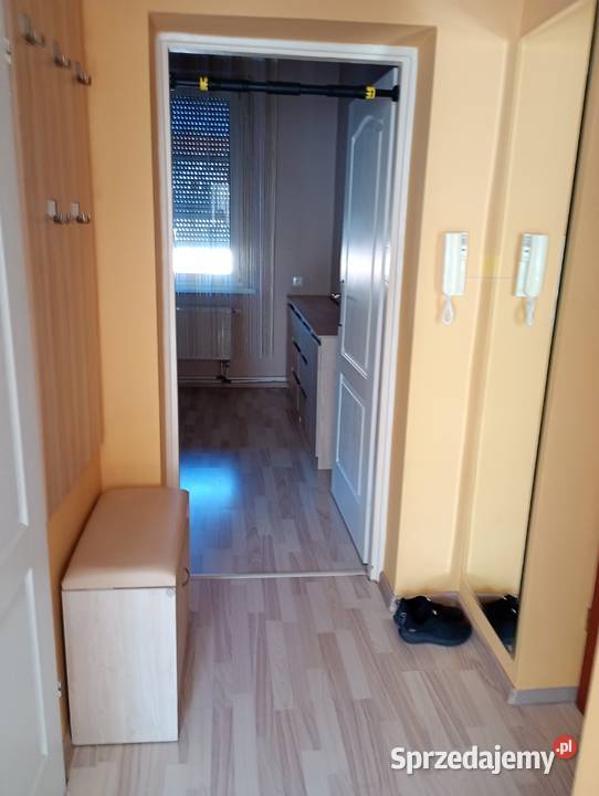 Do wynajęcia mieszkanie 1 Maja Opole opolskie