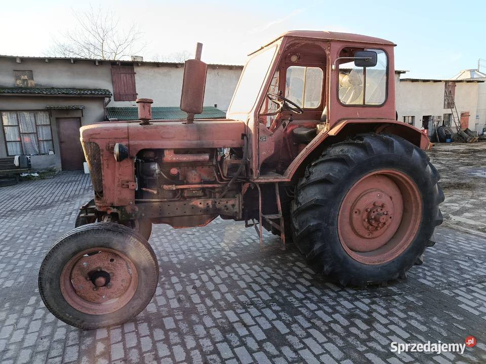 Białorus Jumz Pabianice