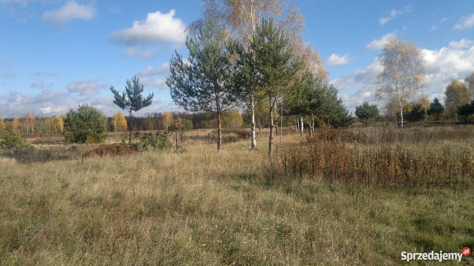sprzedam dom i działki 10 Warszawy betonowe sprzedam