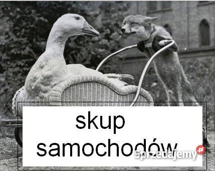 corsa B Zielona Góra