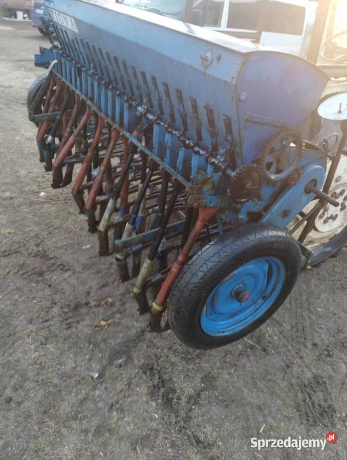 Siewnik Fiona Paradyż