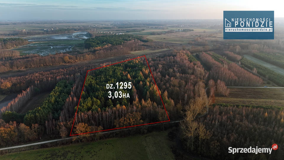 Działka 303 ha Skrobaczów gm Stopnica