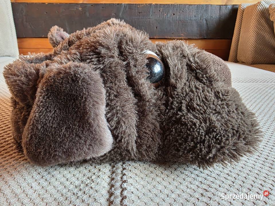 ciepłe kapcie pieski w rozmiarze 3839 małopolskie Kraków