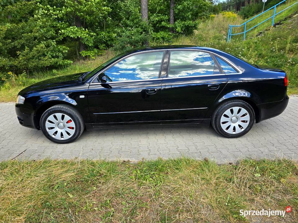 Prywatne Ogłoszenie Audi A4 B7 20 131 Lpg Gaz śląskie Sławków
