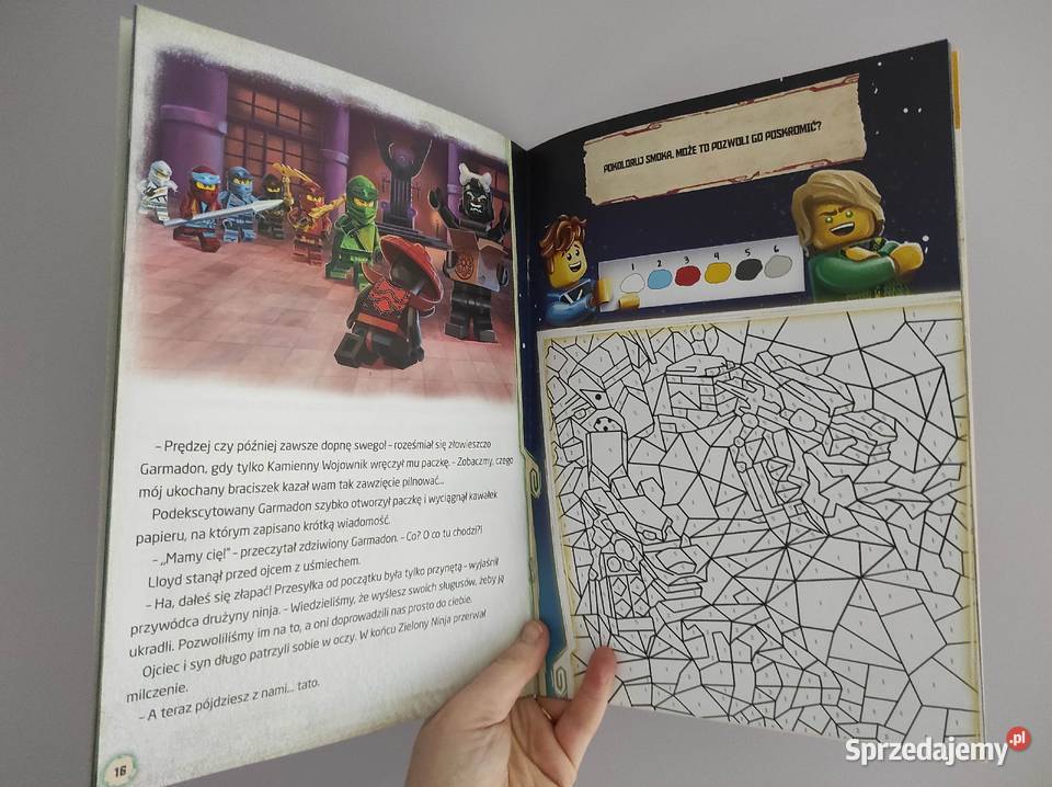 LEGO ninjago misje zielonego ninja zadania Książki dla dzieci Płock sprzedam