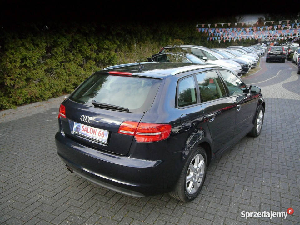 Audi A3 18 Qattro Led Xenon Bezwypadkowy Stan z Częstochowa