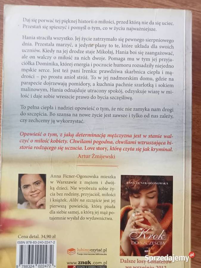 Alibi na szczęscie Anna Ficner Ogonowska Grybów