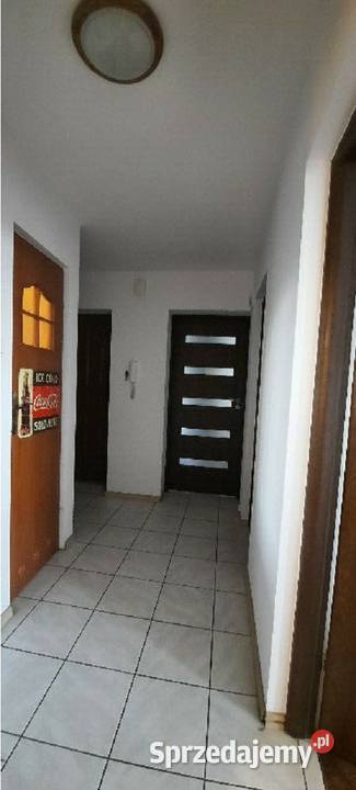 3p 52m Oficerskiej PIWNICAWINDA Wrocław sprzedam