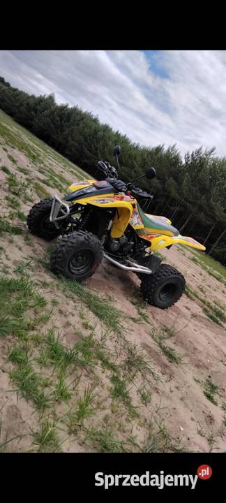 KAWASAKI KFX 400 HOMOLOGACJA wielkopolskie Zadworna sprzedam