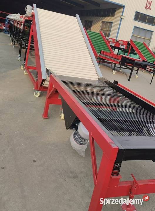 Automatyczny Sortownik do czosnku nieuszkodzony Sortowniki