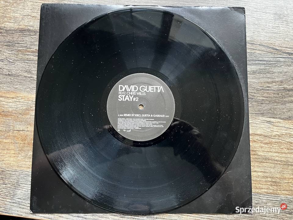 David Guetta feat Chris Willis Stay 2 House płyta winylowa Błażejowice